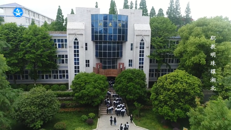 俯瞰06.png